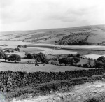 Fishing Pool, Nidderdale